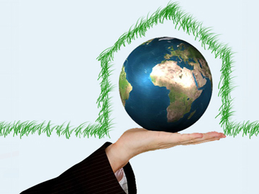 Servicios Inmobiliarios